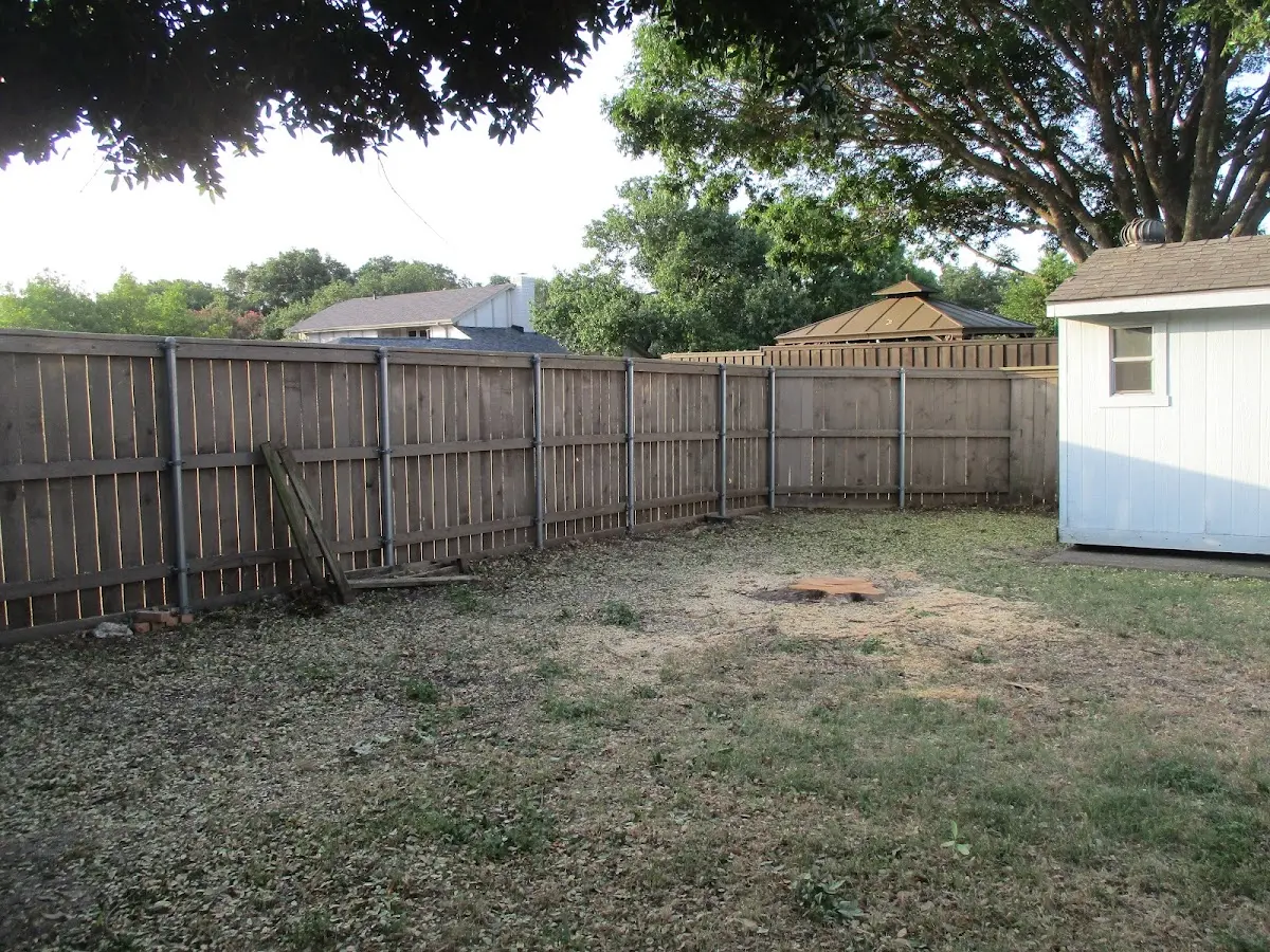 Cleared yard after professional tree removal in Holmes