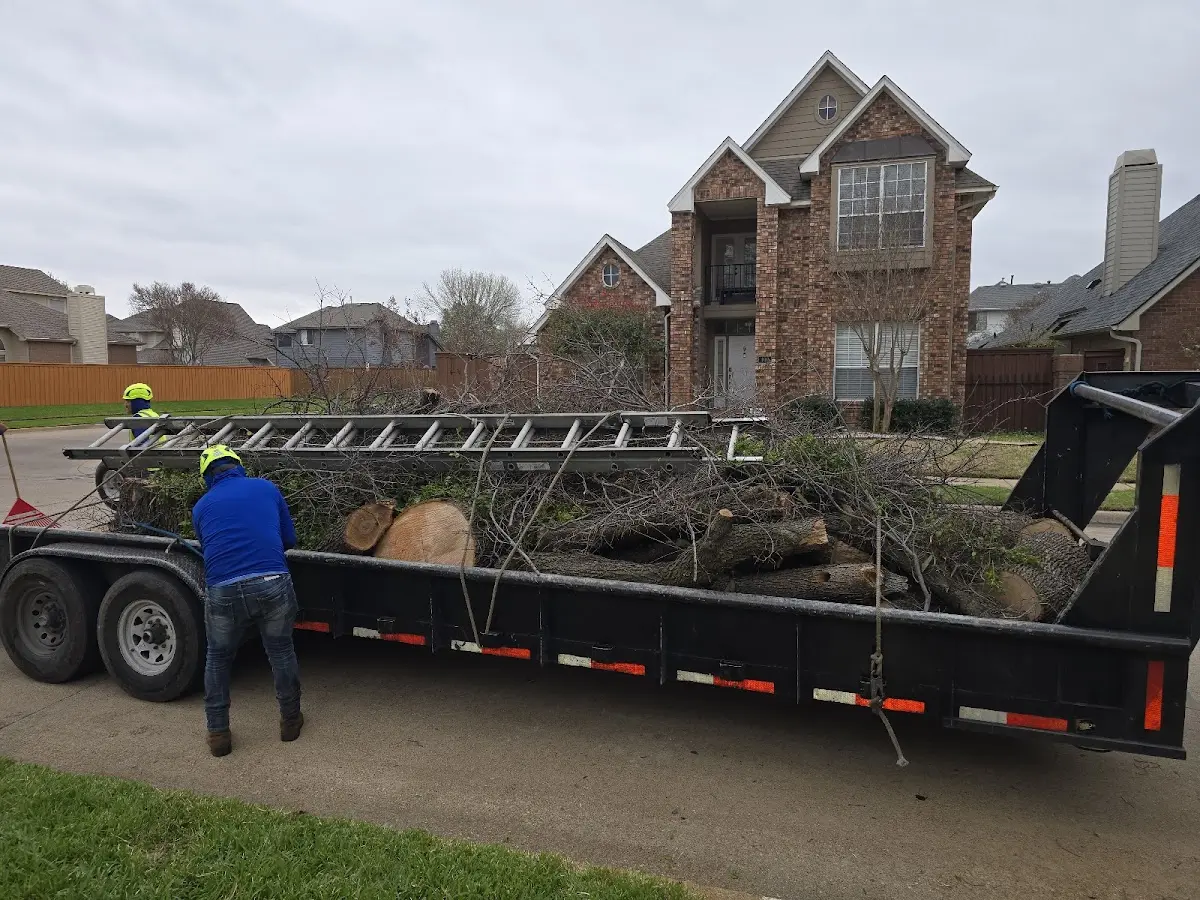 Expert Lot Clearing with proper safety equipment in Holmes